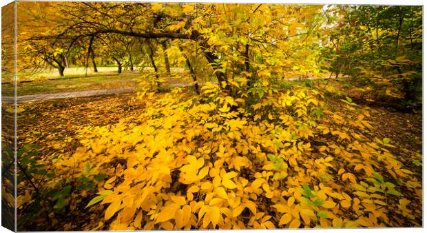  Autumn Leaves Canvas Print by Svetlana Sewell