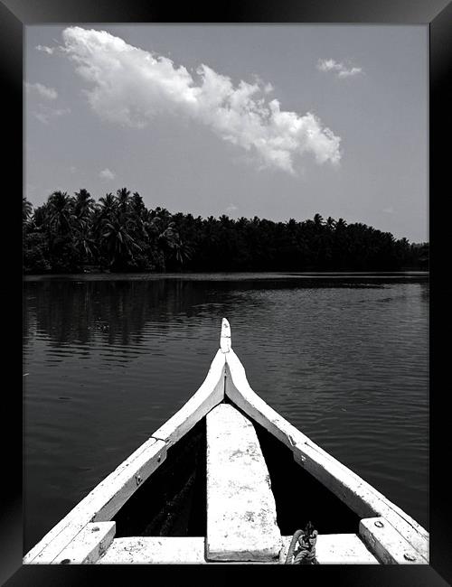 Kerala Backwaters Framed Print by Thomas Seear