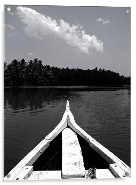 Kerala Backwaters Acrylic by Thomas Seear