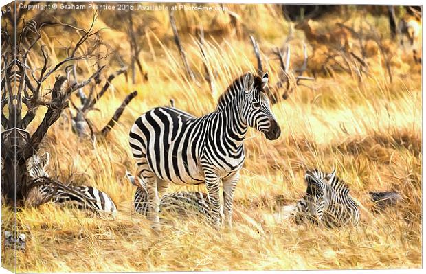 Zebras at Rest Canvas Print by Graham Prentice