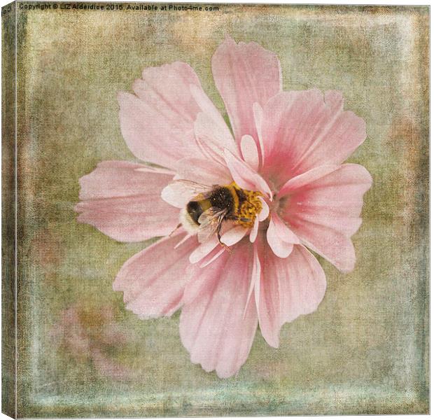 Busy Bee Canvas Print by LIZ Alderdice