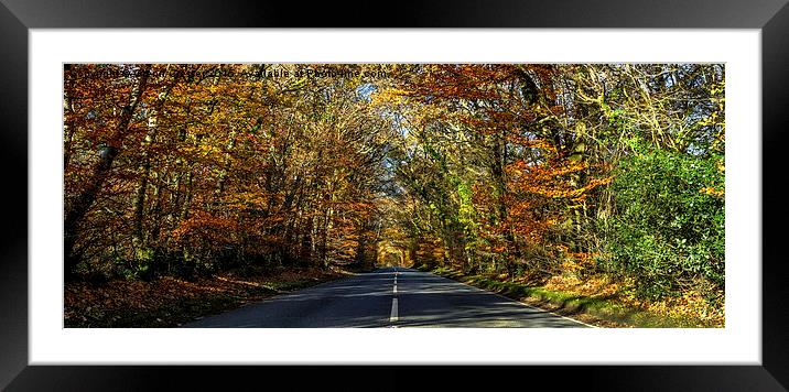  Autumn Straights Framed Mounted Print by Glenn Cresser