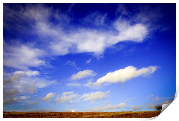  Lone tree with blue skies and cloud Print by Julian Bound