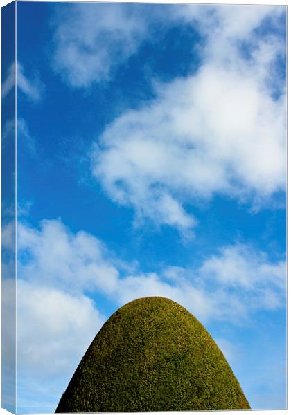  Bush of Chirk Castle, Wales Canvas Print by Julian Bound