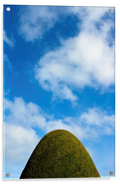  Bush of Chirk Castle, Wales Acrylic by Julian Bound