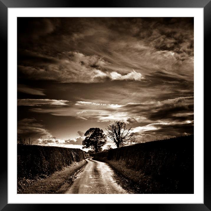  Lane of Shropshire in Autumn Framed Mounted Print by Julian Bound