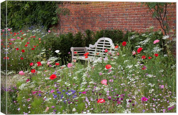 Bench and Wildflowers Canvas Print by Mark Harrop