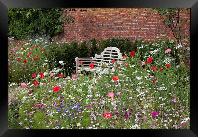 Bench and Wildflowers Framed Print by Mark Harrop