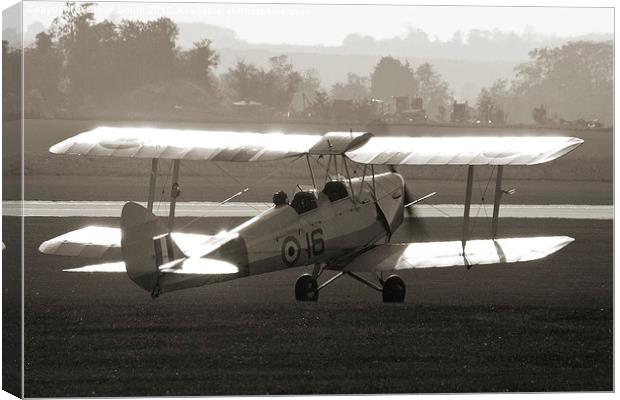 Tiger Moth Taxi Canvas Print by Steve Smith