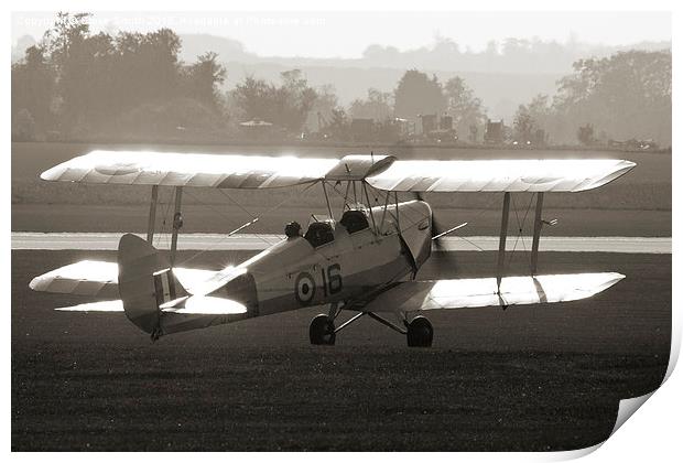 Tiger Moth Taxi Print by Steve Smith