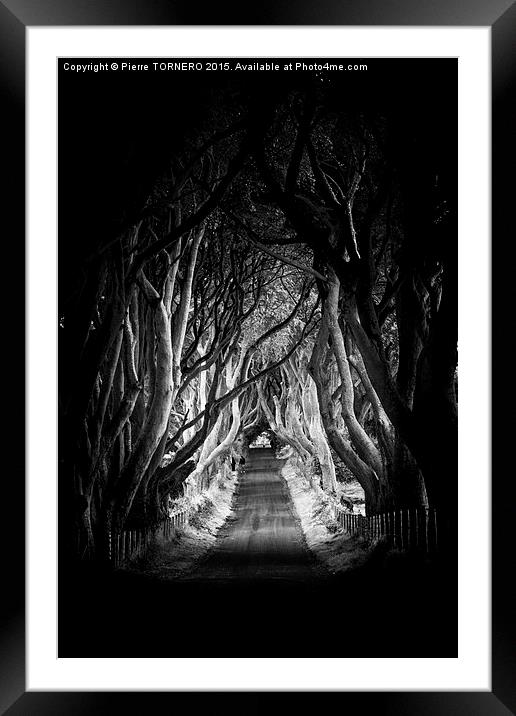 Vert Irlande- The Dark Hedges. Framed Mounted Print by Pierre TORNERO