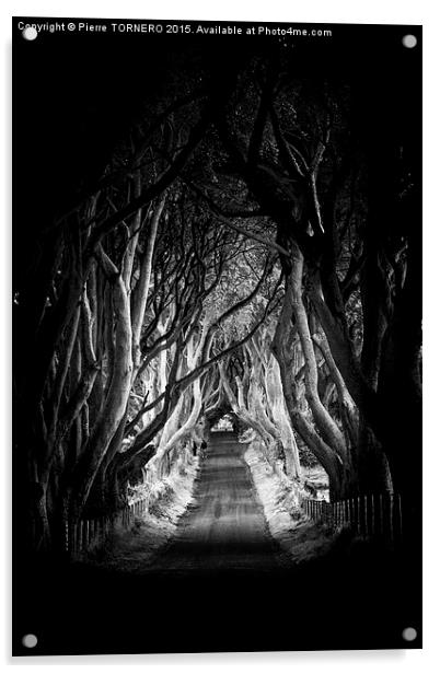 Vert Irlande- The Dark Hedges. Acrylic by Pierre TORNERO