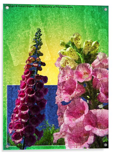   Two Foxglove flowers on texture and frame Acrylic by Robert Gipson