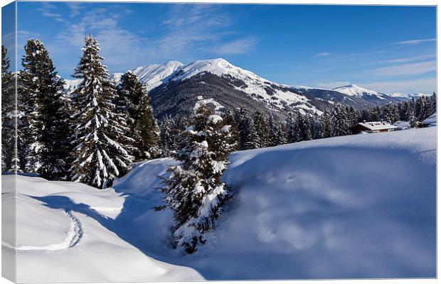 Winter in Tyrol Canvas Print by Thomas Schaeffer