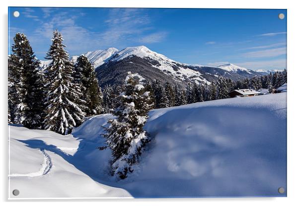 Winter in Tyrol Acrylic by Thomas Schaeffer