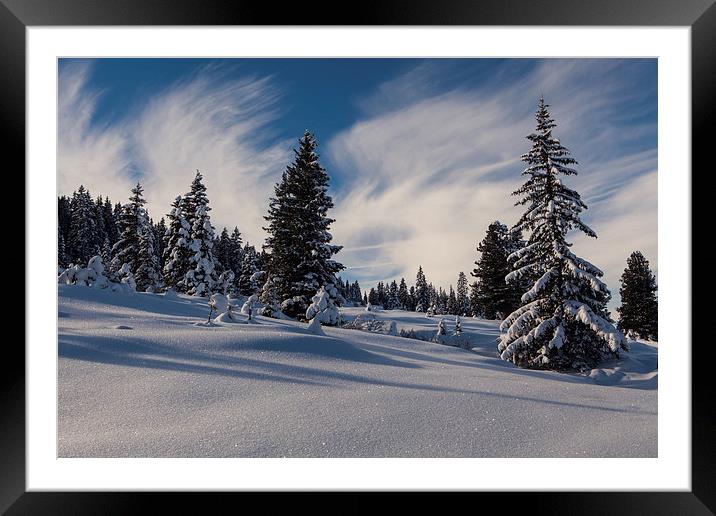 Winter wonderland Framed Mounted Print by Thomas Schaeffer