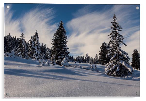 Winter wonderland Acrylic by Thomas Schaeffer
