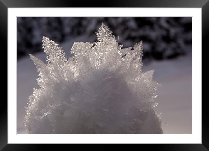 Snow crystal Framed Mounted Print by Thomas Schaeffer