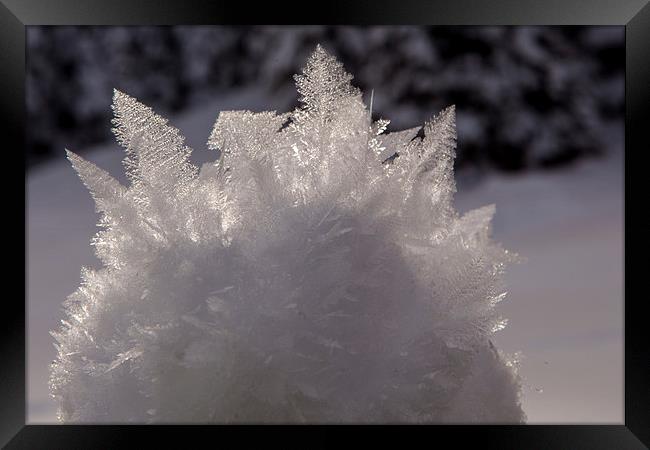 Snow crystal Framed Print by Thomas Schaeffer