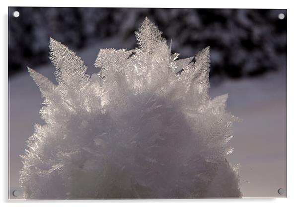 Snow crystal Acrylic by Thomas Schaeffer