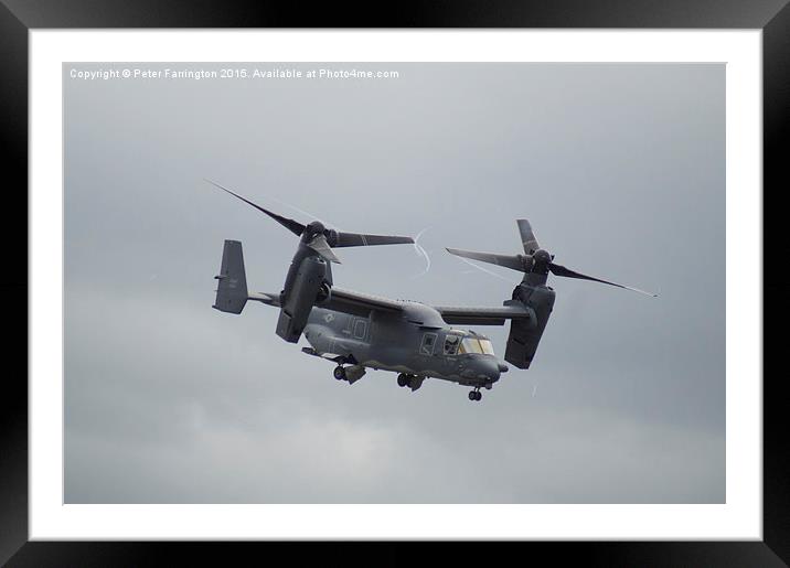  Osprey Whips Up A Storm Framed Mounted Print by Peter Farrington