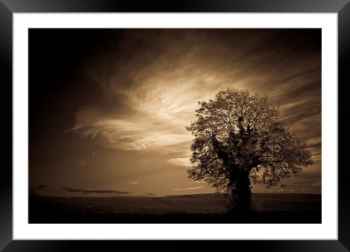  Autumn tree with moon in sepia Framed Mounted Print by Julian Bound