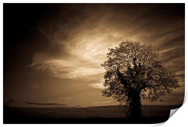  Autumn tree with moon in sepia Print by Julian Bound