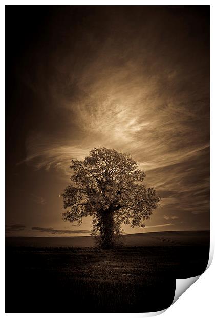   Autumn tree with moon in sepia Print by Julian Bound