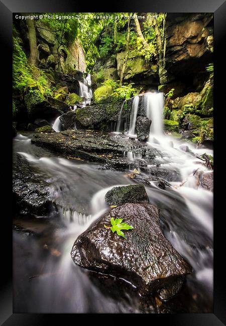 Lumsdale Waterfall Framed Print by Phil Sproson