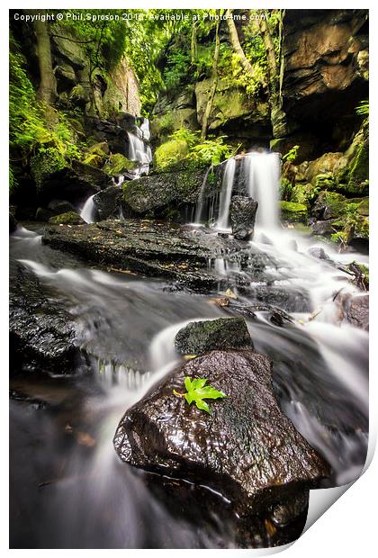  Lumsdale Waterfall Print by Phil Sproson