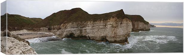 Cliffs at Thornwick Bay, East Coast, UK. Canvas Print by Terry Senior