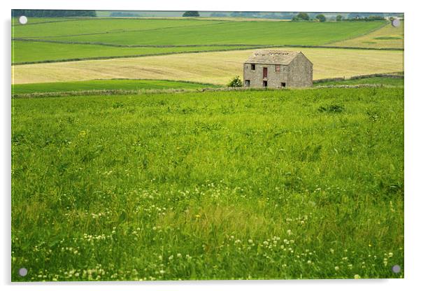 White Peak Barn Acrylic by Phil Sproson