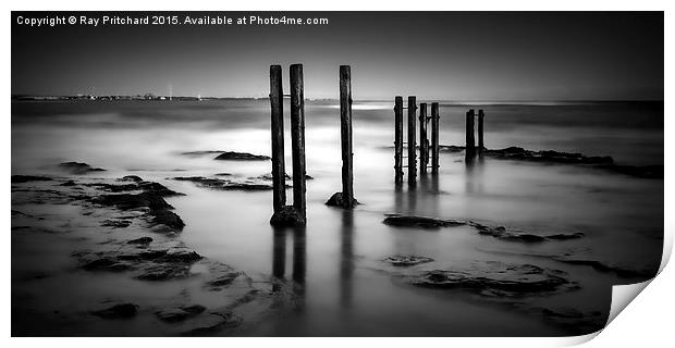  Wooden Posts Print by Ray Pritchard