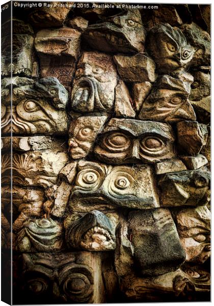  Lets Face It Canvas Print by Ray Pritchard