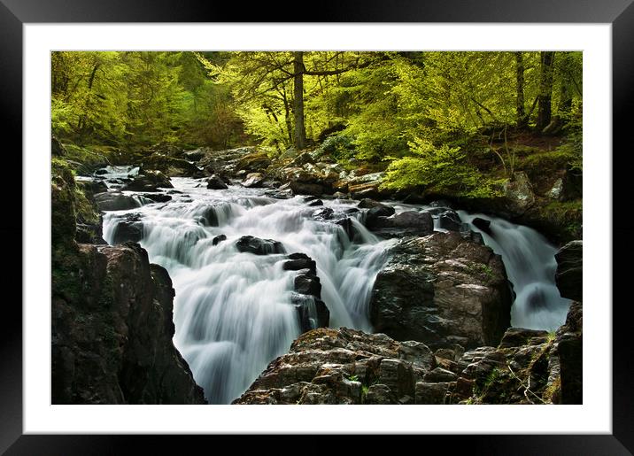  Nature Force Framed Mounted Print by Svetlana Sewell