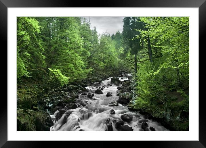  Whispers of Nature  Framed Mounted Print by Svetlana Sewell