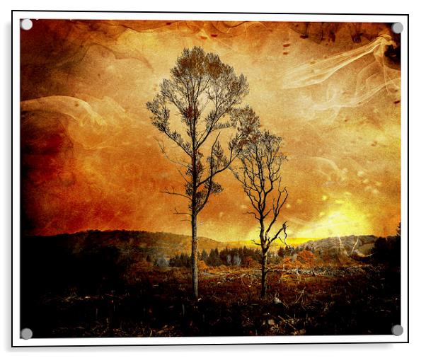  Armageddon Acrylic by Delwyn Edwards