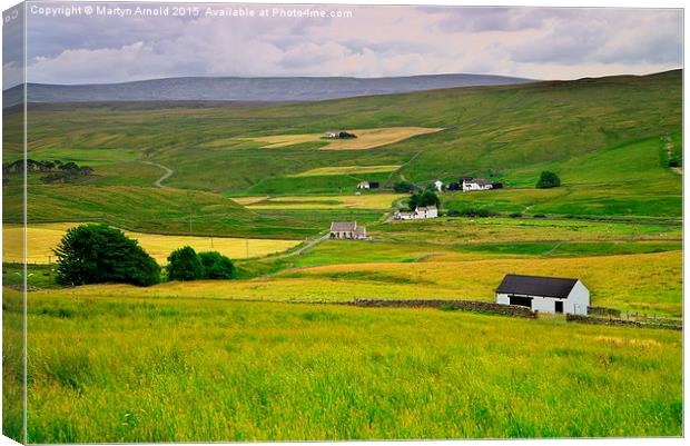 Charming Hamlets of Teesdale Canvas Print by Martyn Arnold