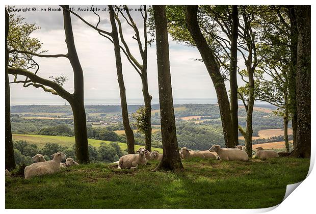 Sheep on Chanctonbury Ring Print by Len Brook