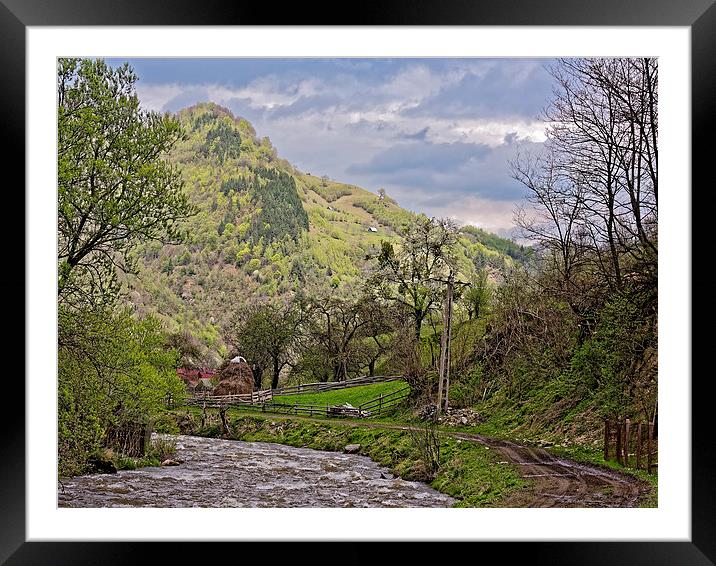 Small creek in Rau Sadului Sibiu County Romania Framed Mounted Print by Adrian Bud