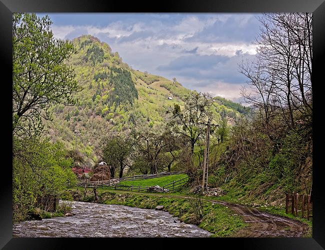 Small creek in Rau Sadului Sibiu County Romania Framed Print by Adrian Bud
