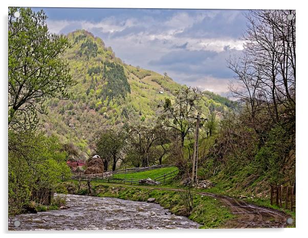 Small creek in Rau Sadului Sibiu County Romania Acrylic by Adrian Bud