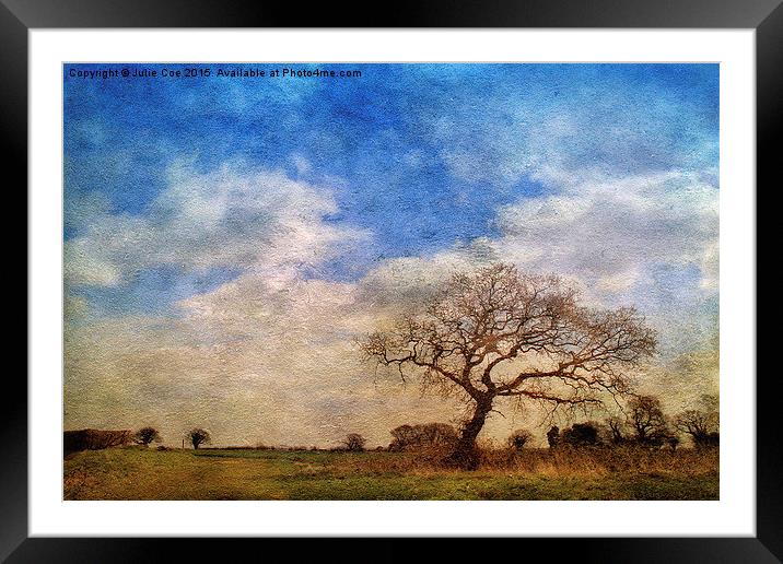 Out In The Field Framed Mounted Print by Julie Coe