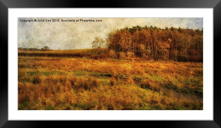 Across The Meadow Framed Mounted Print by Julie Coe
