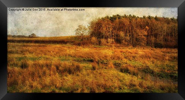Across The Meadow Framed Print by Julie Coe