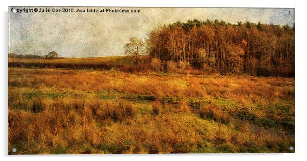 Across The Meadow Acrylic by Julie Coe