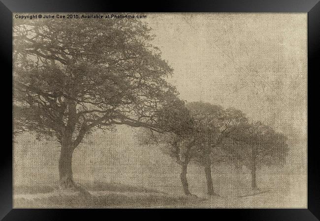 Misty Trees Framed Print by Julie Coe