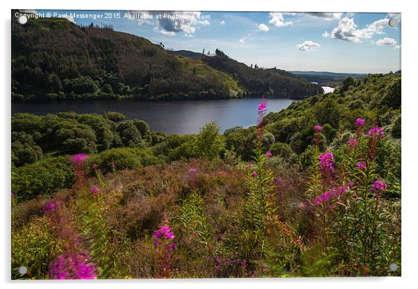  Loch Trool Acrylic by Paul Messenger