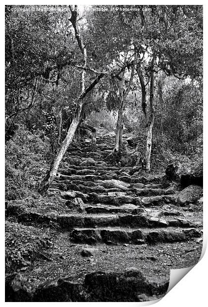  Inca stairway Print by Matthew Bates