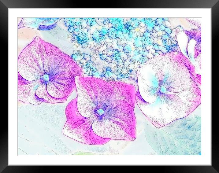  Segments of Purple Summer Delight Framed Mounted Print by Eleanor McCabe